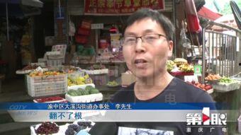 广电爆料新闻,揭秘娱乐圈最新热点事件